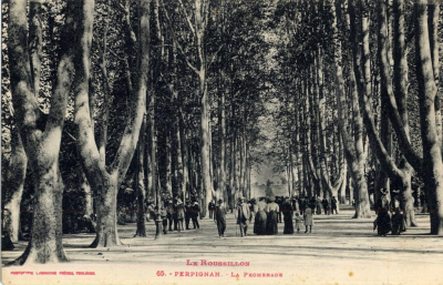 large allée avec des grands platanes , des gens en habit se promenant, une fontaine avec Bacchus au centre