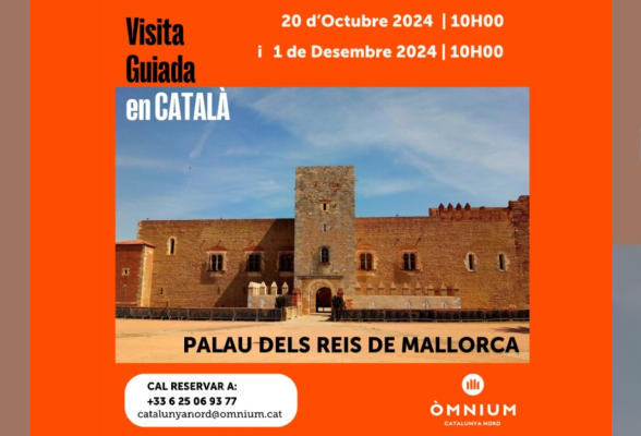 Photo N°1 : VISITA GUIADA EN CATALÀ DEL PALAU DELS REIS DE MALLORCA