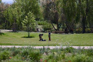 Flânerie dans le Parc