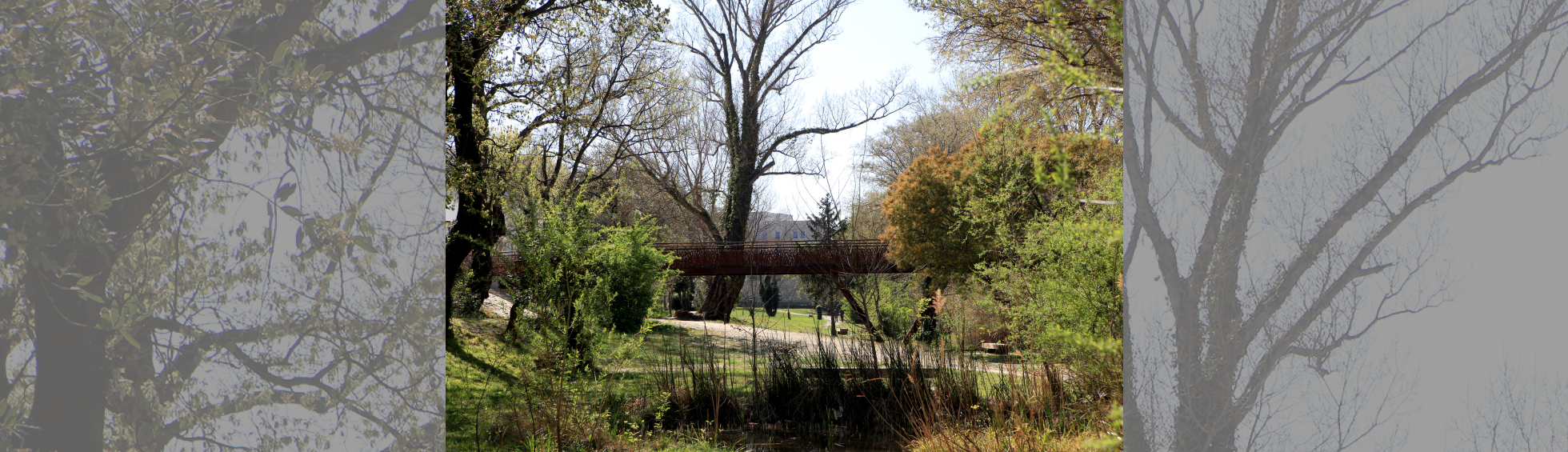 Passerelle de la Basse