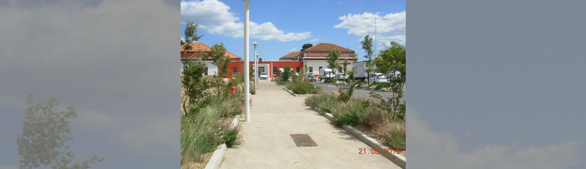 Végétalisation des jardinières