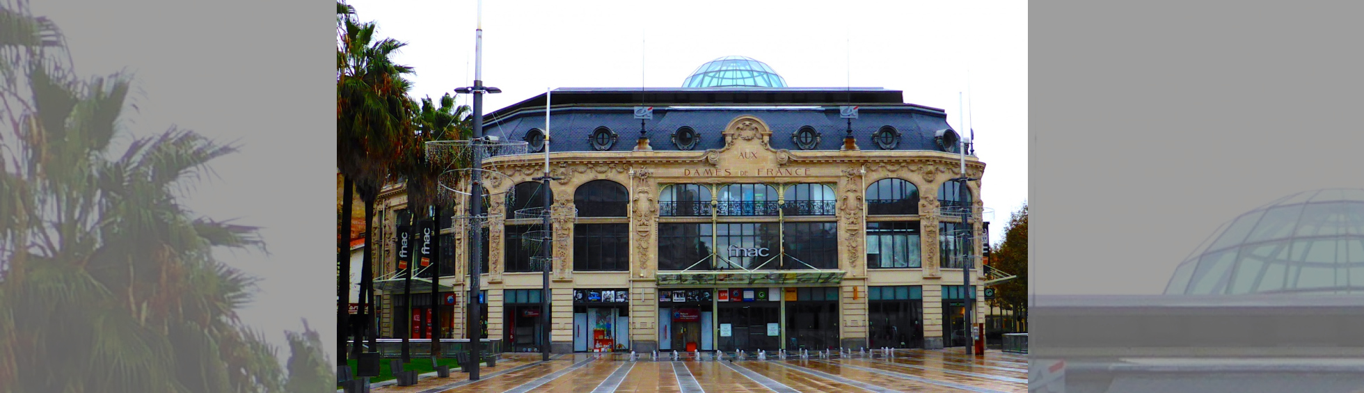 Magasins Aux Dames de France