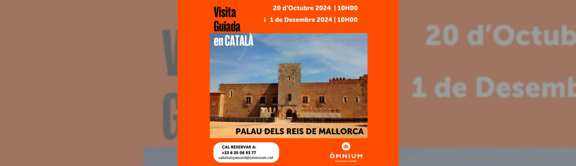 Photo N°1 : VISITA GUIADA EN CATALÀ DEL PALAU DELS REIS DE MALLORCA