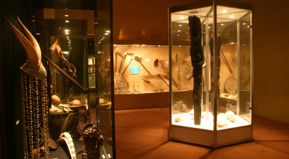 Muséum d'Histoire Naturelle