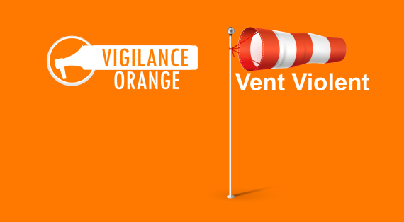 Vigilance Orange